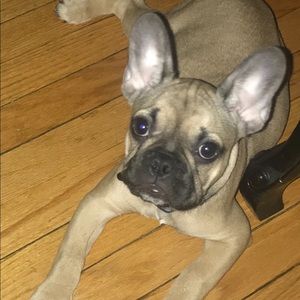 Meet your Posher, Cindy